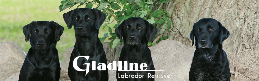 Gladline